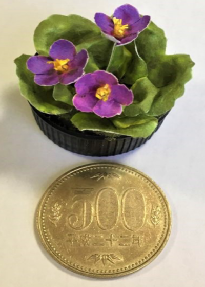 ５００円玉と大きさを比較